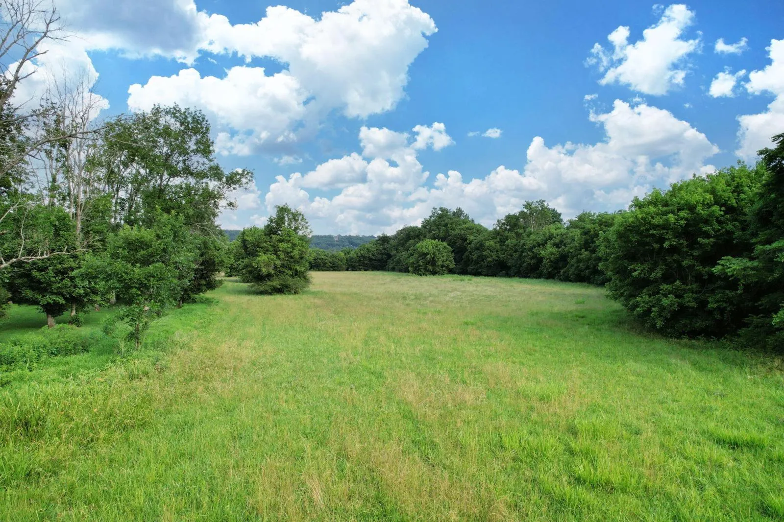 Land at 5.2 Acres on Freewill Road NW in Cleveland, TN